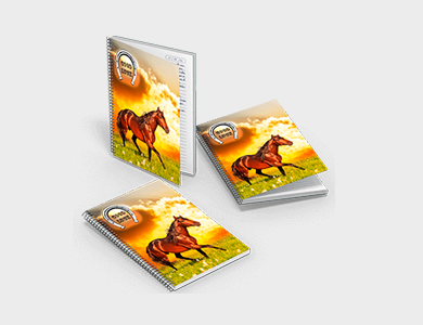 Caderno com Espiral Capa Maleável 20x27,5 96 folhas Capa 4x0 Supremo  - 4x0 - 5 unid